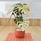Mini Multi-Color Simulated Monstera Plant Magnetic Coaster