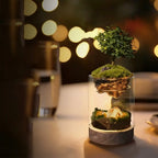 Moss Micro-landscape Ecological Bottle