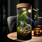 Moss Micro-landscape Ecological Bottle