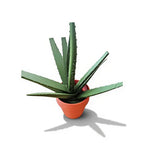 Simulated Aloe Vera Planter Ballpoint Pen with Magnetic Feature