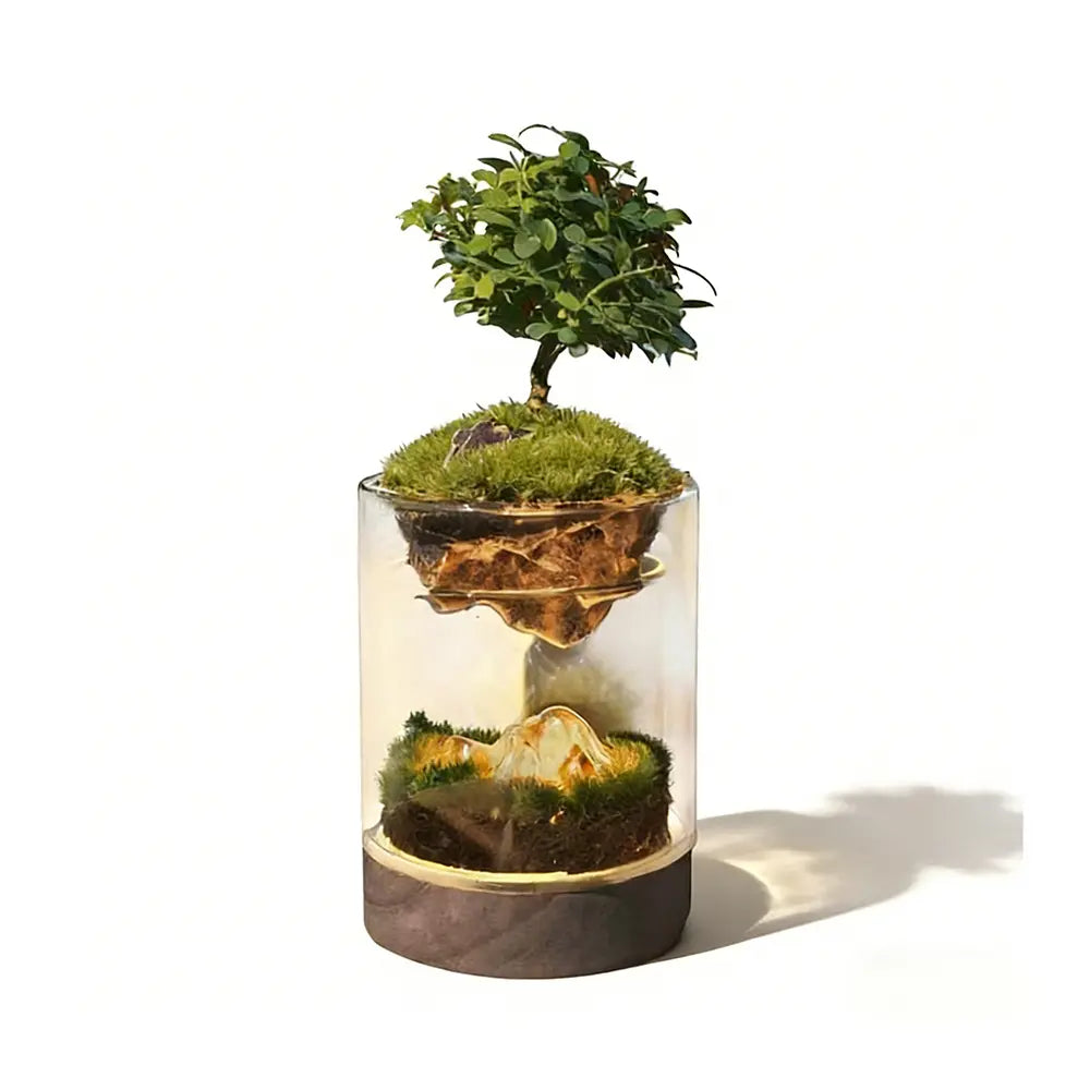 Moss Micro-landscape Ecological Bottle